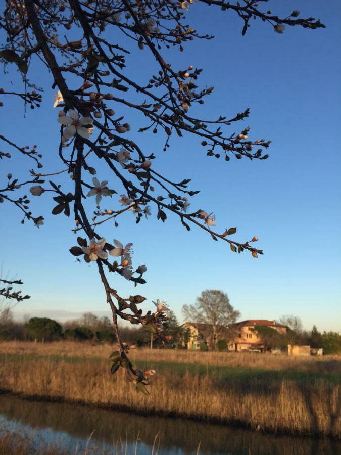 Agriturismo Valle Ca' del Lovo Carlino Exterior foto